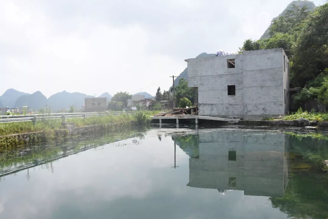 5b7f817a8a60e.jpg 6.jpg